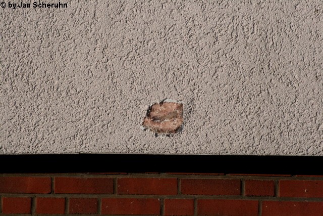 Barsinghausen 5