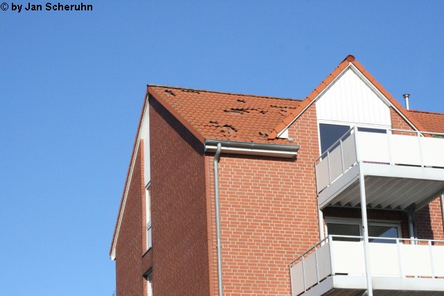 Barsinghausen 6