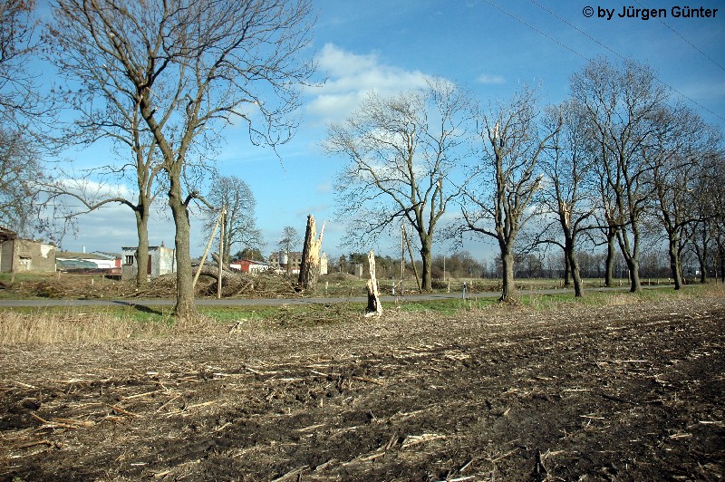 Mittagsberg 2