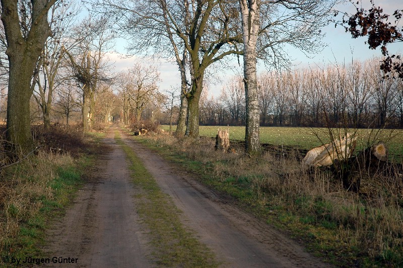 Mittagsberg 8