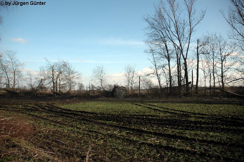 Mittagsberg 9