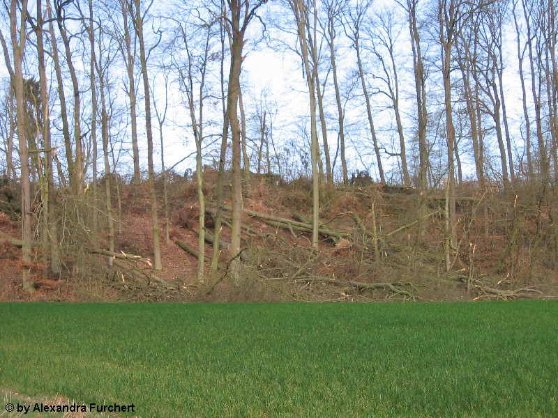 Sch�nbach 4625