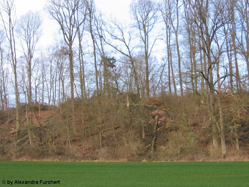 Sch�nbach 4627