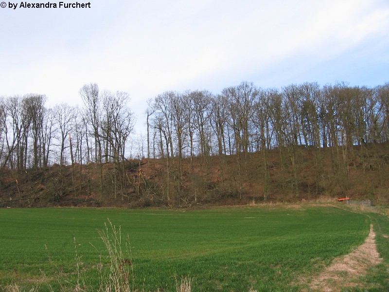 Sch�nbach 4628