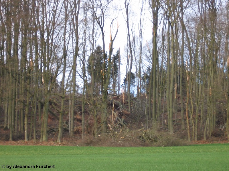 Sch�nbach 4632