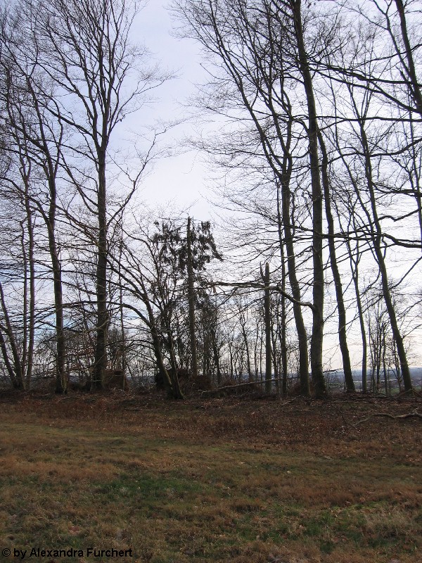Sch�nbach 4633