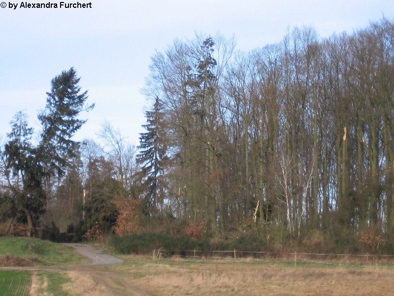 Sch�nbach 4635