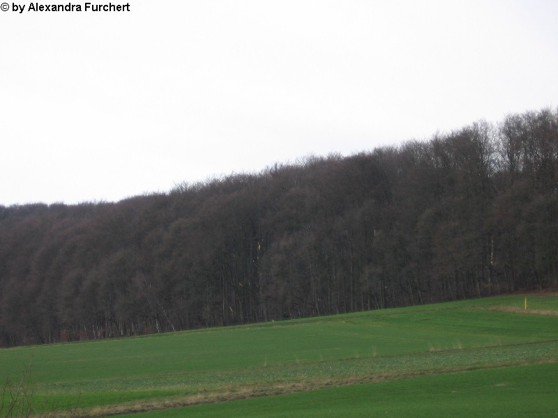 Sch�nbach 4637