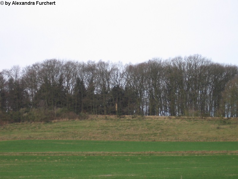 Sch�nbach 4639