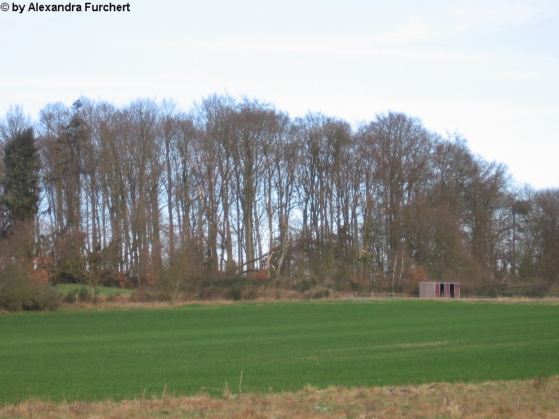Sch�nbach 4640