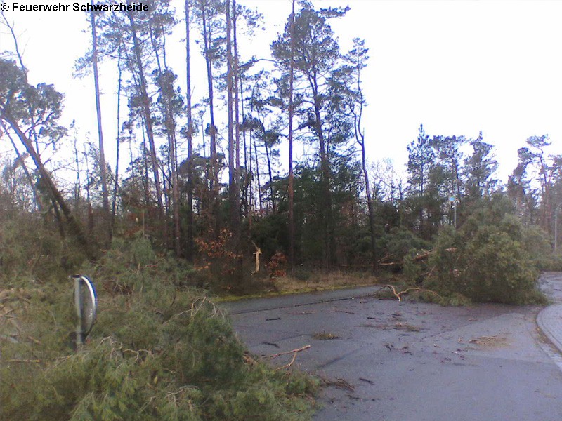 Schäden in Schwarzheide am 18.01.2007