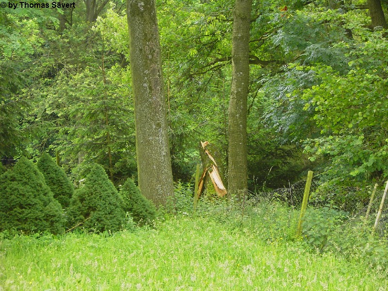 Pleiserhohn 5