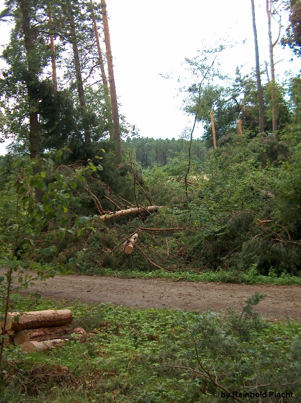Baiersdorf 1