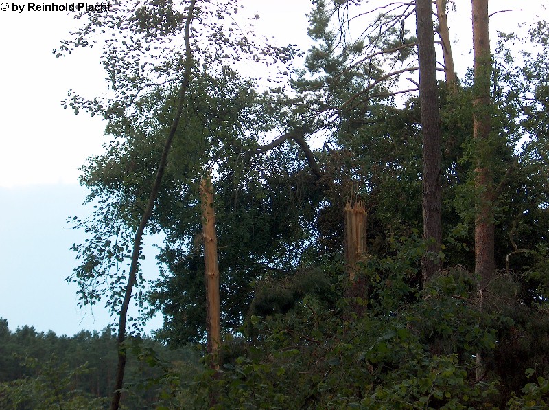 Baiersdorf 4