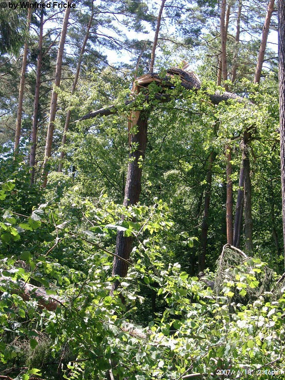 Baiersdorf 10