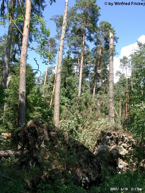 Baiersdorf 11