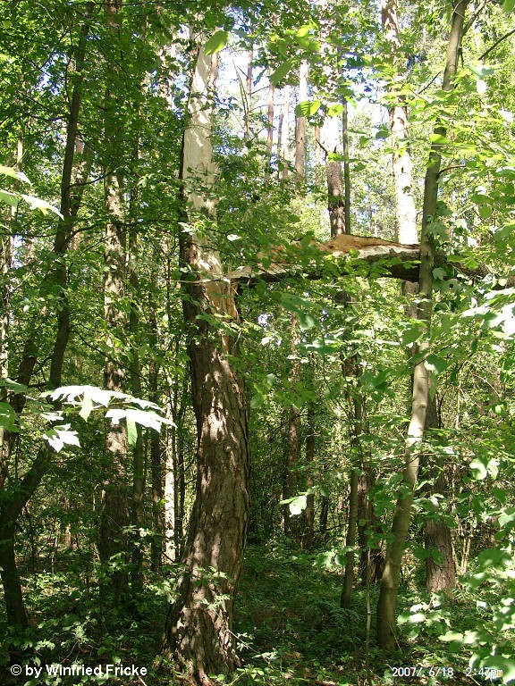 Baiersdorf 15