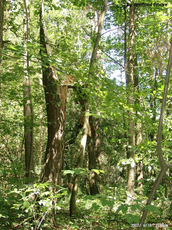 Baiersdorf 16