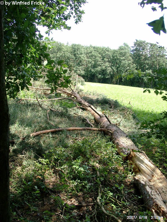 Baiersdorf 2