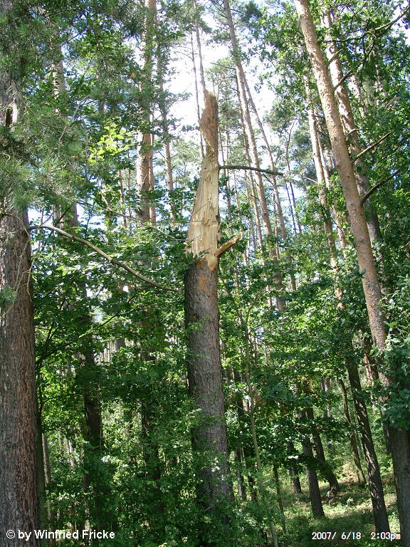Baiersdorf 4