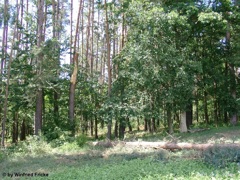 Baiersdorf 5