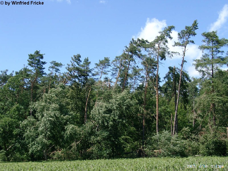 Baiersdorf 6
