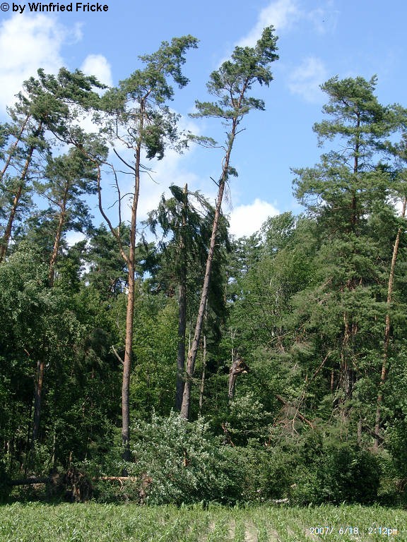 Baiersdorf 7