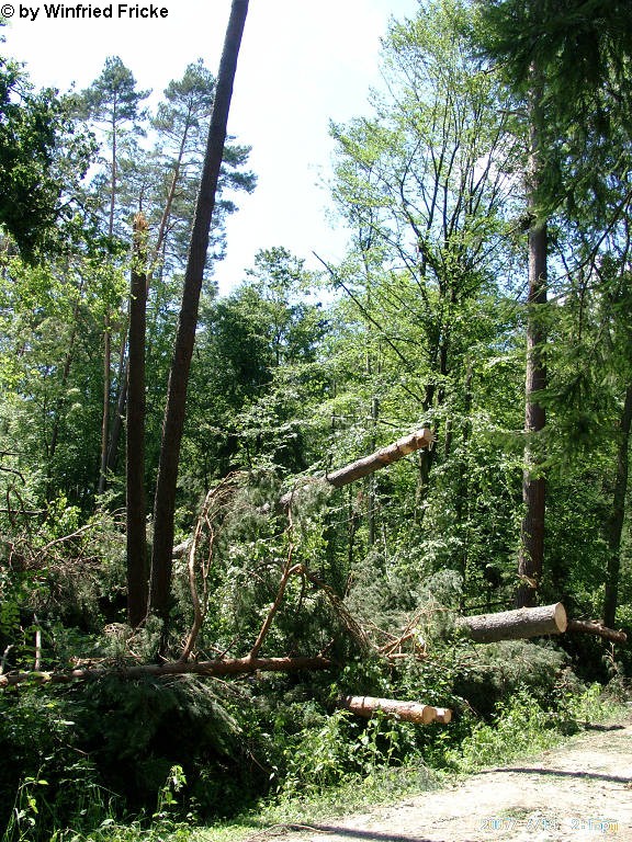 Baiersdorf 8