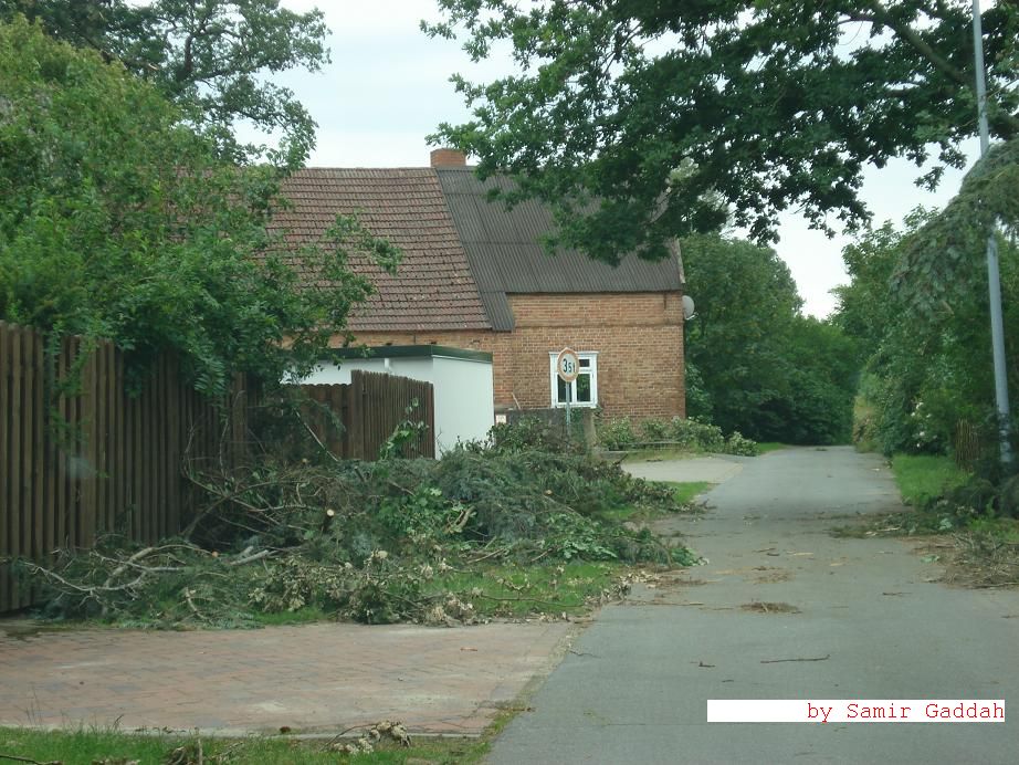 Gedelitz 12