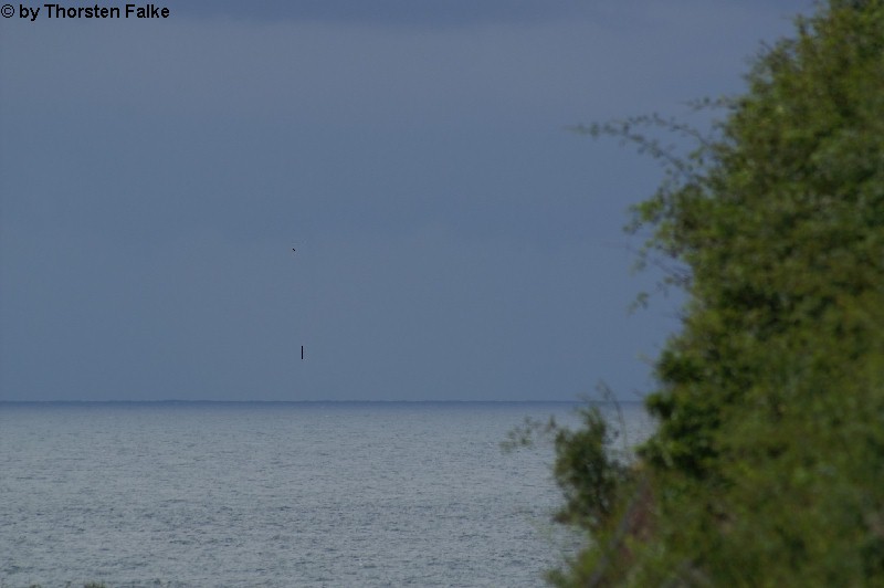 Helgoland 5