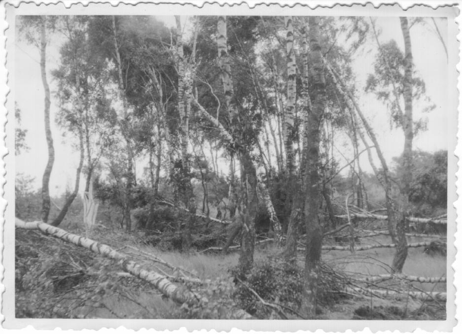 Rissen 2