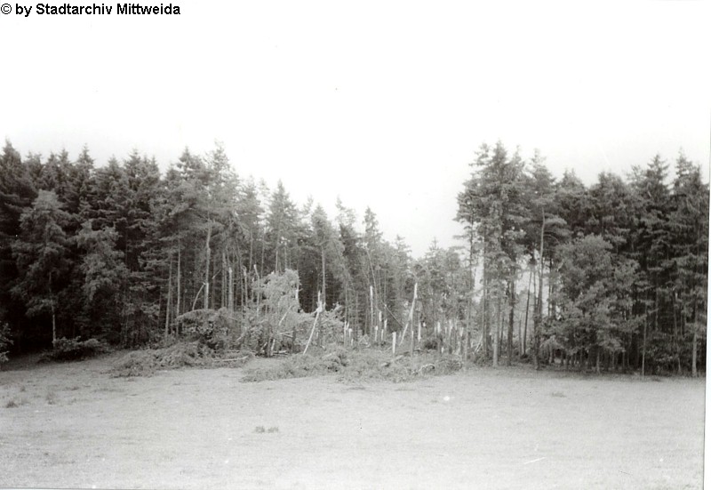 Mittweida 2