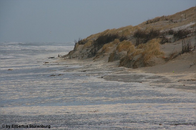 Norderney 7